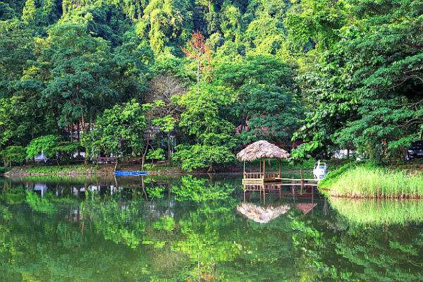 Национальный парк Вьетнама Кук Фонг
